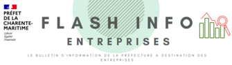 FLASH INFO ENTREPRISES